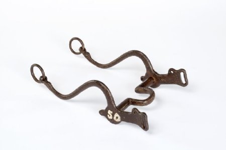 Bit, Bridle                             